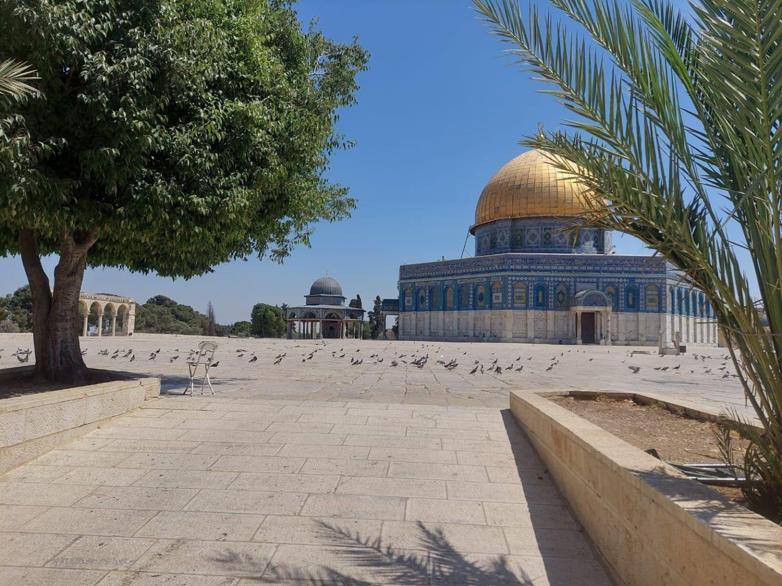 ناصر الدين ينعى شاباً مقدسياً قتله الاحتلال بباب العامود